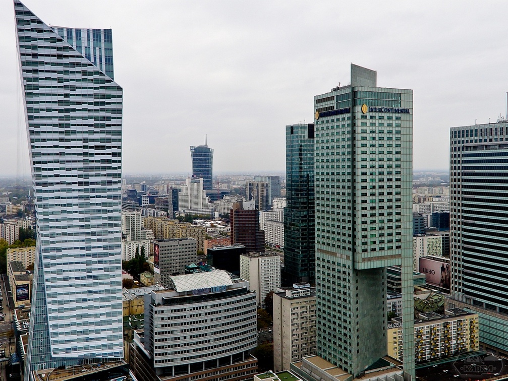 DSC02875-1