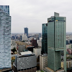 DSC02875-1